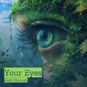 Your Eyes by Alek Human