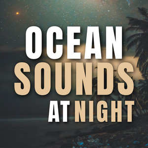Ocean Sounds at Night album