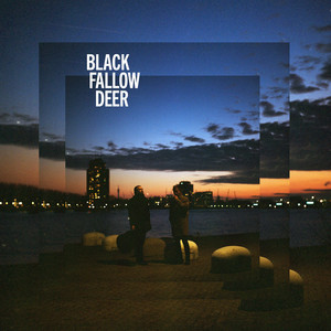It's Raining In Rotterdam by Black Fallow Deer
