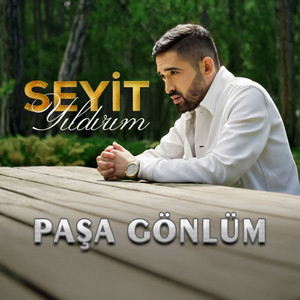 Seyit Yıldırım - Paşa Gönlüm