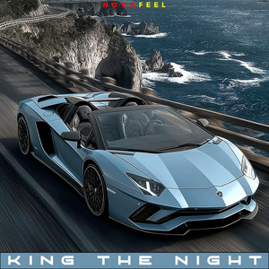 King The Night by NovaFeel