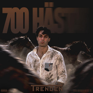700 HÄSTAR by TRENDEN
