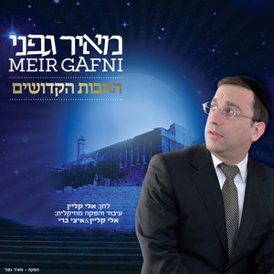 האבות הקדושים by מאיר גפני