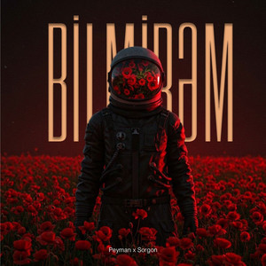 Peyman - Bilmirəm (feat. SoRGoN)