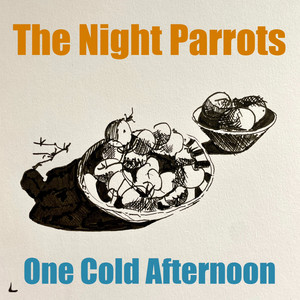One Cold Afternoon by The Night Parrots