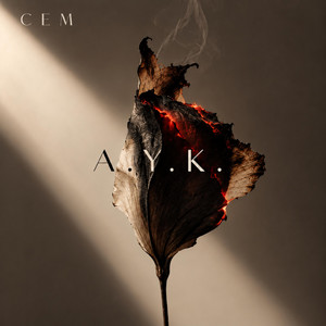 A.Y.K. by Cem