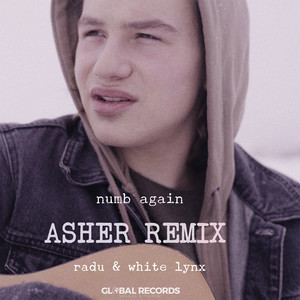 Numb Again - Asher Remix