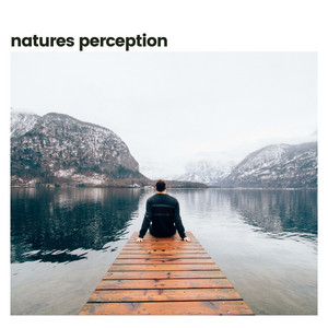 Nature's Perception album