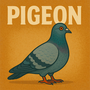 Pigeon