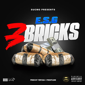 3 Bricks by E.S.G.