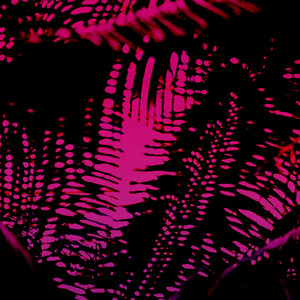 Pink Noise - Radio Edit by Farewell Dear Ghost
