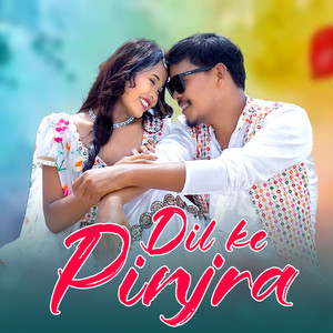 Bir Chaudhary - Dilke Pinjra