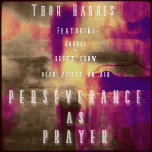 Perseverance as Prayer - Dead Voices On Air Candescence Mix by Thor Harris, Jarboe, Dead Voices On Air
