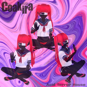 Acid Terror House by Coakira