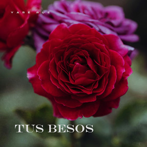 Tus Besos by Yare Rue