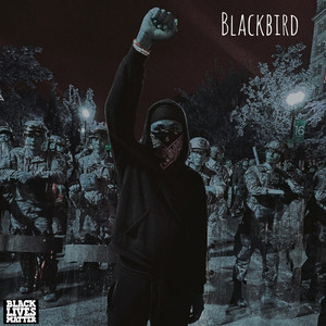 Portada de Blackbird