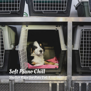 Soft Piano Chill: Shelter Rain for Pets Vol. 1 album