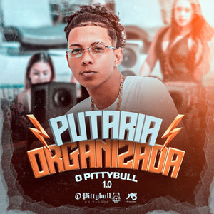 Pittybull - Bloco Putaria 1.0