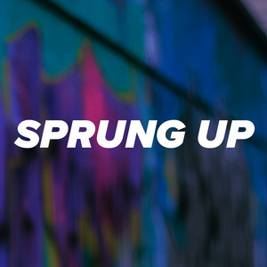 Sprung Up by RnbInstrumentals
