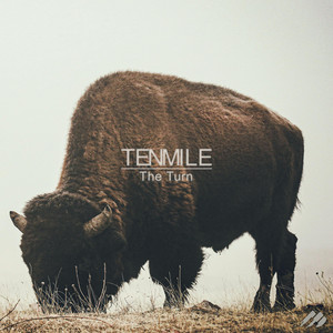 The Turn by TENMILE, Ross Lara