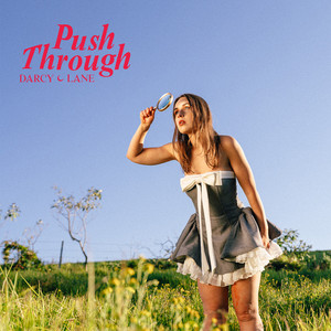 Push Through by Darcy Lane