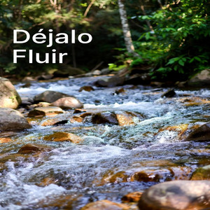 Dejalo Fluir by Soriano Joseo