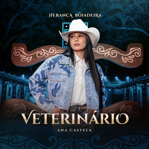 Ana Castela - Veterinário (Ao Vivo)