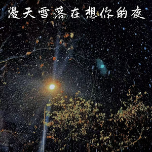 漫天的雪落在想你的夜 by 苏潭潭