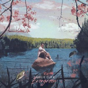 Evergreen by Charlie Cizek