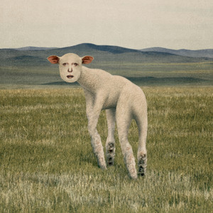 Flesh