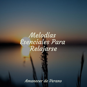 Melodías Esenciales Para Relajarse