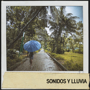Sonidos y Lluvia: Tormenta pacífica y truenos album