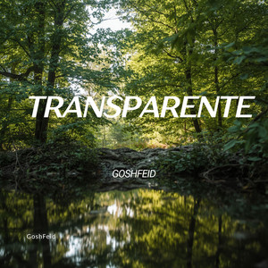 Transparente by GoshFeid