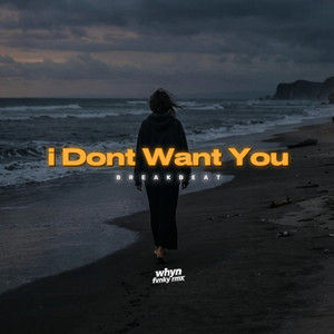 I Don't Want You Breakbeat by Whyn Fvnky Rmx