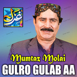 Mumtaz Molai - Tosan Dilbar Dadhi Dil Aa