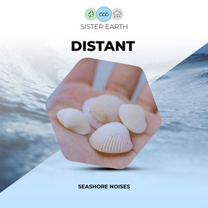 Distant Seashore Noises album
