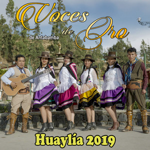 Voces de Oro de Antabamba - Sabes Que Soy Solo