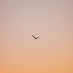 Viana - Me This Love