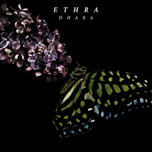 Dhara by Ethra