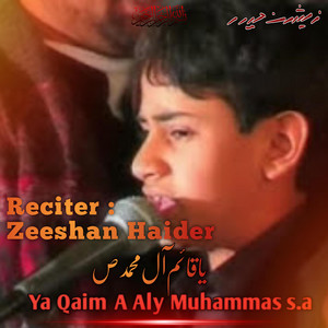 Ya Qaim A Aly Muhammad s.a Noha | Zeeshan Haider