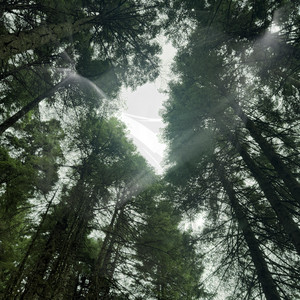 Upside by Chill4est