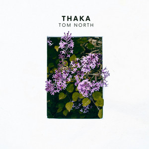 Thaka by Tom North