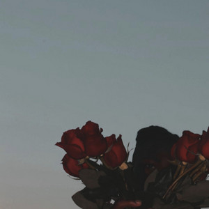 10:55 PM by Kameron Greene