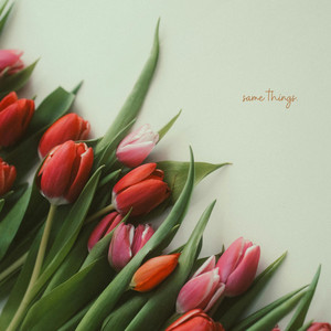 Same Things by Ty