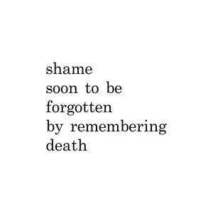 shame by hallway poems