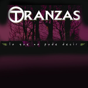 Lo Que No Pude Decir album