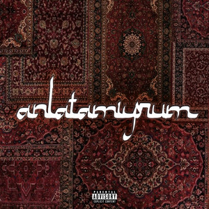 Bedel - Anlatamıyorum (2026 Edit)