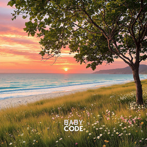 if we were by baby code