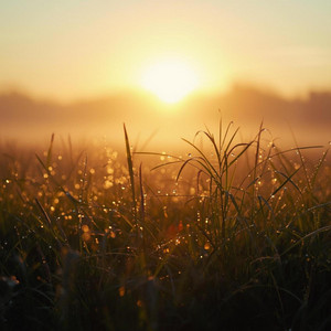 Blessed Morning by Esthemo