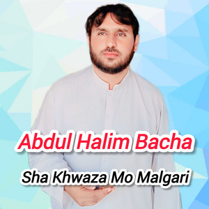 Abdul Halim Bacha - Sha Khwaza Mo Malgari